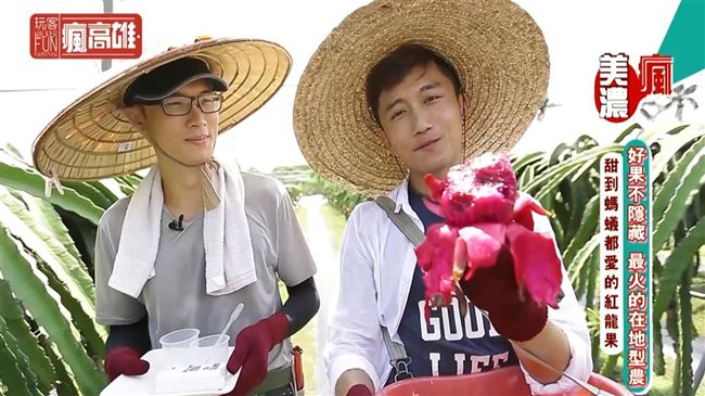 好果不隱藏　最火的在地型農