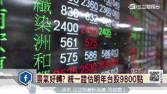 展望2017　明年台股有望破上萬點