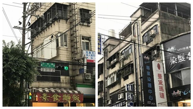 雞想體驗飛行？土城電線上驚見白雞