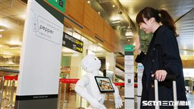 長榮航空引進人型機器人Pepper。（圖／長榮提供）