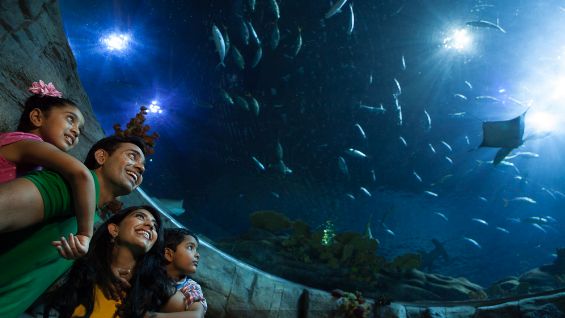 陸客驟減！香港海洋公園13年來首虧
