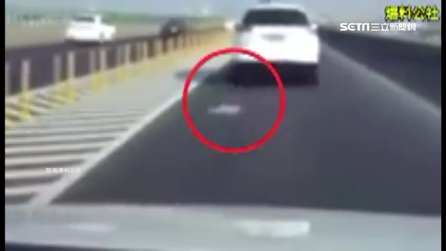流浪貓躲車底取暖　快車道慘遭甩飛
