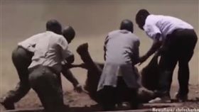 救援,大象/Daily Mail Animals fb