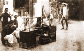 （圖／翻攝自度小月臉書）