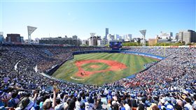 橫濱球場（圖／翻攝自橫濱隊臉書）
