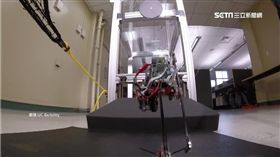 機器人像「跳蚤」！定點可彈1公尺高