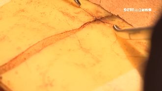 外科醫生用食物　訓練手術傷口縫合