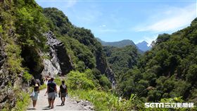 太魯閣白楊步道。（圖／記者簡佑庭攝影）