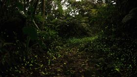 索尼世界攝影大獎 2017 台灣 α 攝影比賽 Sony提供