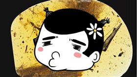 恐龍 標本 http://qz.com/858239/a-99-million-year-old-piece-of-amber-definitively-proves-that-dinosaurs-had-feathers/