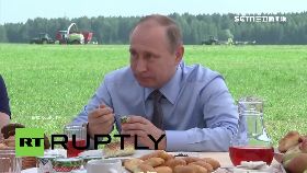 f普丁元首餐1700