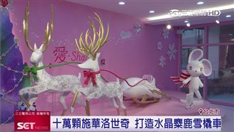 「水晶麋鹿雪橇車」　點亮浪漫耶誕