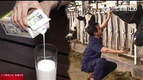 乳牛,牛奶,牧場,飼養,技術,健康,獸醫,榨乳,物聯網,品質