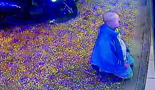 扯！人妻公園溜狗　噁男竟在旁打手槍