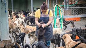 做愛心卻擾民！狗狗吠聲妨礙安寧　社區住戶要求遷離住處
圖翻攝自台北縣保護動物協會
https://www.facebook.com/tpa9509/?ref=page_internal