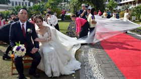 台東日暉國際渡假村董事長愛女鄭舜文（前右）歸寧，6公里長的頭紗，從度假村繞行池上金城武樹、伯朗大道，締造金氏紀錄。（圖／中央社）