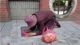 流浪貓,流浪狗,貓,貓狗,阿嬤,埔里　圖／翻攝自流浪貓兒狗兒的阿嬤