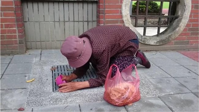 夜配聞／暖心阿嬤趴地餵貓　感動網友