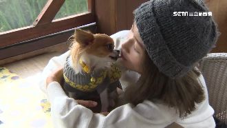 寵物溝通師收費高　宣稱能和動物對話