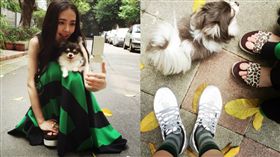 圖翻攝自郭碧婷微博　