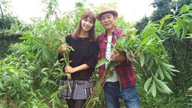 草地狀元黃西田