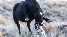 圖／英國《每日郵報》