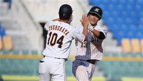 平澤大河（圖／中職提供）