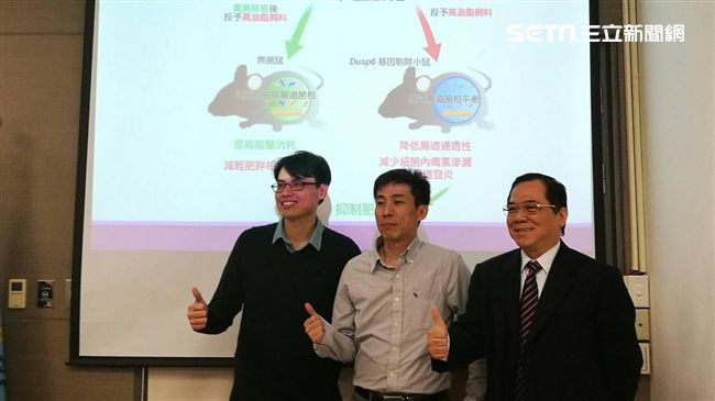 怕胖？國衛院找到抗肥胖好菌