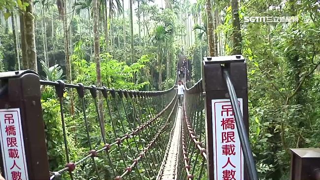 雲林情人橋爆紅　民眾無視限重硬上