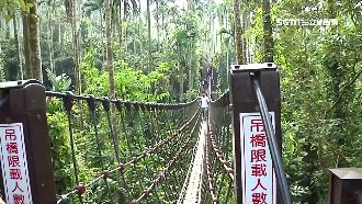 雲林情人橋爆紅　民眾無視限重硬上