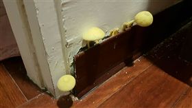 香菇,除濕機,房間,藍瘦香菇,霉菌,護牆板　圖／PTT