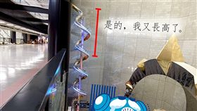 叫破喉嚨！亞洲最高立體旋轉溜滑梯　16秒急速落地（圖／科工館臉書）
