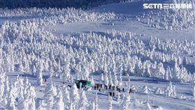 日本東北宮城縣南部冬季雪上活動。（圖／公關照）