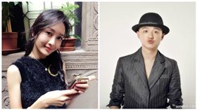 王鷗,包貝爾,圖／微博