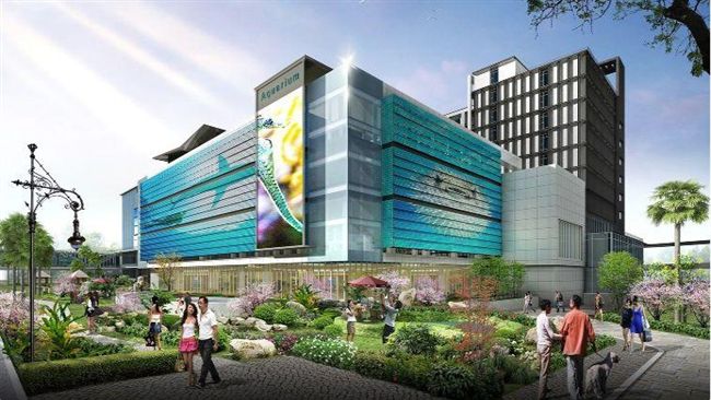 深耕台灣　2020年日本水族館登台
