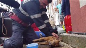 消防員火場為狗狗CPR。(圖/翻攝自Adevarul.ro)-http://m.adevarul.ro/locale/pitesti/emotionant-catel-prins-intr-un-incendiu-fost-resuscitat-pompierii-arges-1_584b09325ab6550cb8465532