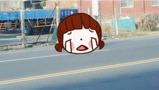 不捨浪浪魂斷街頭　她徒手收屍引淚崩