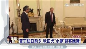 普丁訪日先「嗆日」！ 放愛犬吠記者