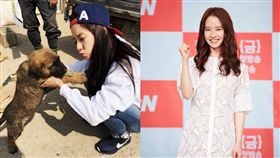 宋智孝（圖／翻攝自宋智孝微博、臉書）