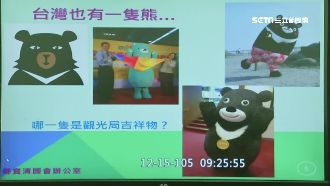 尷尬！只認識熊本熊　官員不識台灣熊