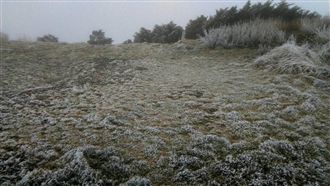 冷氣團籠罩！合歡山降冰霰玉山現霧淞