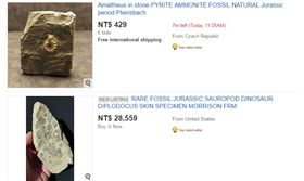 博物館員工偷化石網拍（圖／擷取自ebay）