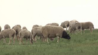 內蒙擁這些豐富資源　吸引投資客西進