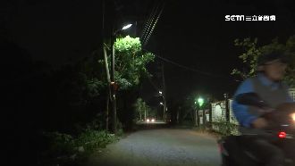 誇張路燈閃不停　居民諷像「燈塔」