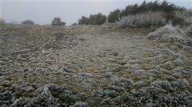 霧淞,大陸冷氣團,寒流,冬天,玉山
圖／中央社