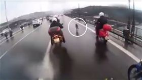 狗狗 高架
https://www.facebook.com/781798708507882/videos/1299855120035569/