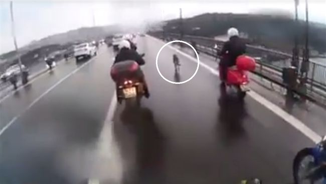 狗狗誤闖高架橋　壯漢4騎士暖心護送