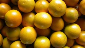 柳丁，柳橙 圖／中央社