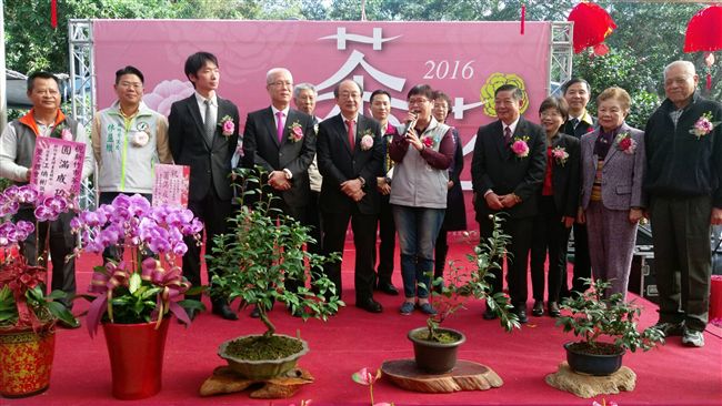 竹市茶花季　新品種「馬卡龍」亮相