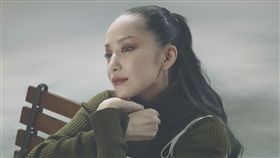 中島美嘉將來台　陪歌迷一同賀新春 圖／台視提供